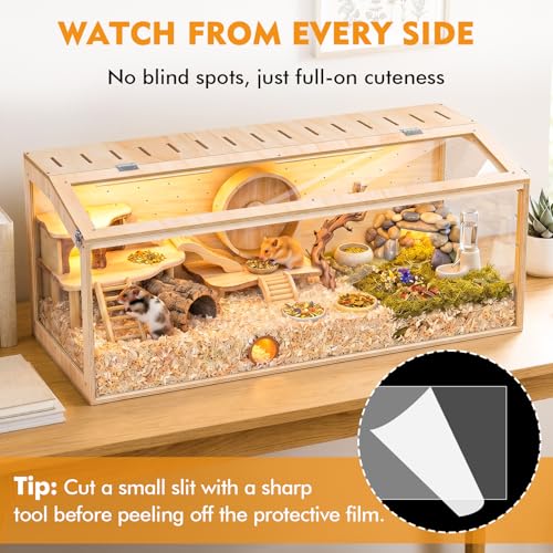 XiaZ Hamster Cage,48Inch Large Hamster Tank with Panoramic View and Ventilated Top, Spacious Acrylic Glass Habitat for Syrian Dwarf Hamsters and Degus, Natural Wood Frame Enclosure - size: 48.0"L x 20.0"W x 20.0"H