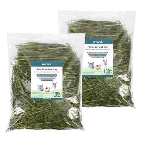 Premium Dust-Free Oat Hay 2.2lbs (2×1.1lbs) for Small Pets | Natural fresh green oat hay with low dust, staple feed for rabbits, guinea pigs, chinchillas, hamsters, gerbils - size: 2.2 Pound (Pack of 1)
