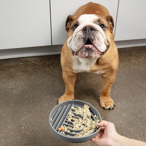 Slow Feeder Dog Bowls - Medium Size Silicone Slow Eating Dog Bowl for Puppies & Dogs with Suction Cup -Dishwasher-Safe,Lick Mat Design,Reduces Gulping,for All Breeds,7.5”x1.5”- Charcoal - color: Charcoal - Rainbow Design, size: Medium (7.5” Across x 1.5”