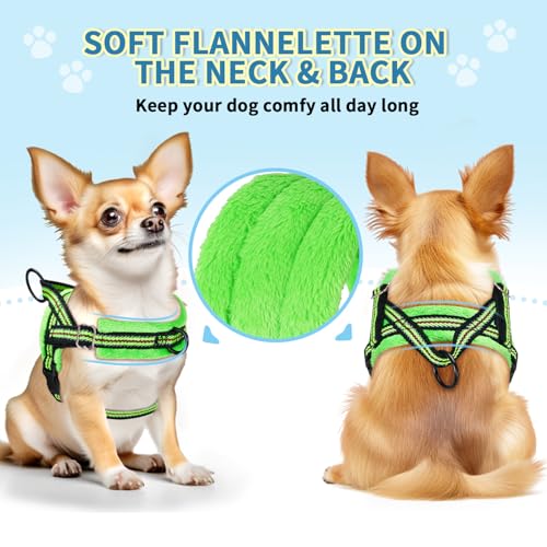 Lukovee Soft Padded Small Dog Harness (X-Small, Green) with 4ft Lightweight Leash, Adjustable Reflective Vest for Walking, Running, Hiking, Training | Both Neck & Chest Adjustable, Reflective, Puppy Harness with 4ft Lightweight Anti-Twist Dog Leash for Sm