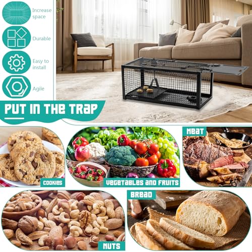 Qualirey 2 Pcs Live Rat Trap Humane Mouse Trap Mice Rat Cage Work for Small Animal Indoor and Outdoor Mouse Voles Hamsters Catch and Release(Black) - color: Black
