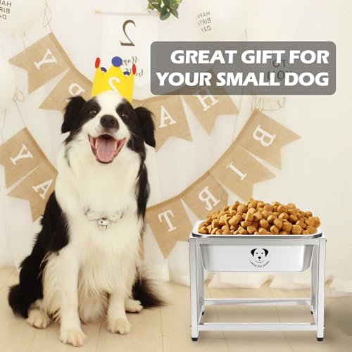 1.25 Gallon Elevated Large Dog Water Bowl, 10.23" Raised Stainless Steel Bowl for Medium Large Breed, Elevated Dog Water Bowl with Full Metal Stand, Easy to Clean and Assemble for Indoor Outdoor - size: 1.25 Gal - Height 10.23"