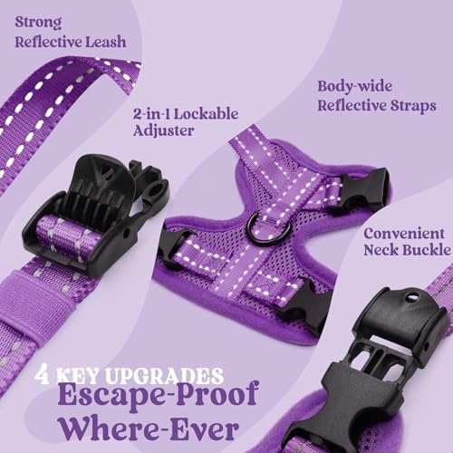 rabbitgoo Cat Harness and Leash, Easy-on with Neck Buckle, Purple | Escape Proof, No Over-the-head, Soft Air Mesh, 3 Lockable Adjusters & Buckles, Reflective, for Kittens & Small Cats Walks, Xs - color: Purple, size: Xs