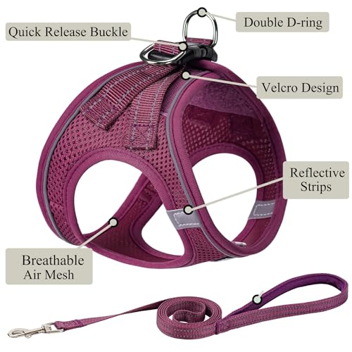 Dog Harness with Leash Set, Step-in Adjustable Puppy Pet Vest,Cranberry XXS | Lightweight Breathable Air Mesh, Night Safety Reflective, No Pull Puppy Vest Harnesses for Small Medium Large Dogs, Cats - color: Cranberry, size: XXS(Chest:10"-12")