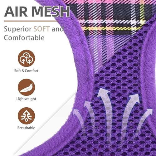 PUPTECK Soft Mesh Dog Harness and Leash Set Pet Puppy Cat Comfort Padded Vest No Pull Harnesses, Purple, S - color: Purple, size: S (NECK: 12", CHEST: 14"-18")