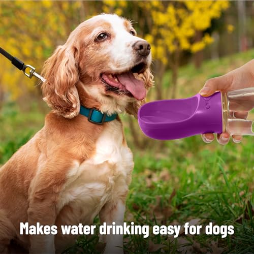 Mr. Pen- Portable Dog Water Bottle, 19 oz, Large | Leak Proof Puppy Water Dispenser with Drinking Feeder for Pets, Outdoor Walking, Hiking, Travel, Not Dishwasher Safe - color: Purple