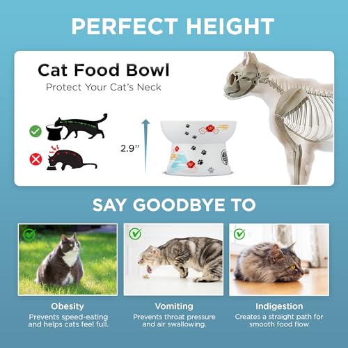 Necoichi Ceramic Elevated Cat Food Bowl (Fuji, Regular Flat) - color: Fuji, size: Regular