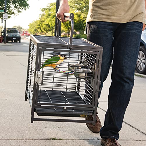 Prevue Pet Products Playtop Travel Carrier - Outdoor Travel Bird Cage for Small Parrots & Birds, Front Facing Door, Rope Perch, Lightweight & Portable, Easy Transport - Black