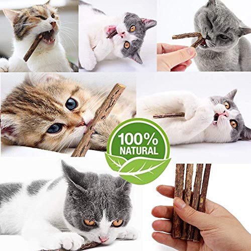 WoLover 20 PCS Matatabi Sticks, Silvervine Chew Toys for Cats | Natural Catnip Sticks, Cleaning Teeth Molar Chew Toy for Cat Kitten Kitty Dental Care - size: 20 PCS
