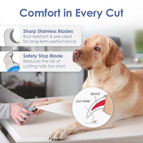 AKC Dog & Cat Stainless Steel Nail Clippers with Safety Guard and Nail File | Professional grooming tool with stainless steel blades and an easy-grip anti-slip handle for all pet sizes. - style: Nail Clipper