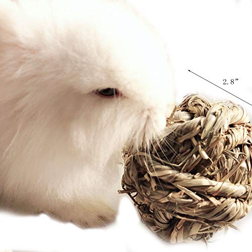 Hamiledyi Rabbit Chew Ball Timothy Grass Grinding Small Animal Activity Play Chew Toys for Bunny Rabbits Hamster Guinea Pigs Gerbils - size: 3 PCS grass ball