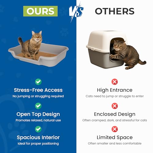 KittyGoHere Senior Cat Litter Box, Large Litter pan with Long-Handle Jumbo Scoop, Open Top Low Entrance Kitty Litter Box, Lightweight Low Entry Litters Box, Durable, Made in USA (2 Pack - Misty Gray) - color: Misty Gray, size: Large(2 Pack) with Scoop