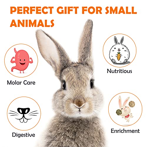 Sofier 28Pcs Timothy Hay Treats Rabbit Toys Bunny Toys Guinea Pig Natural Handmade Treats and Chews for Small Animals Hamster Chinchilla Rat Gerbil