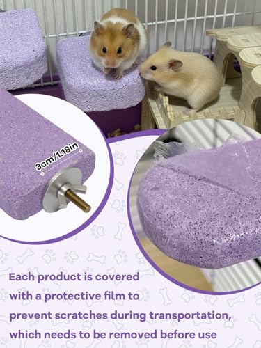 Lava Ledges for Rats 3 Pack Hamster Climbing Ledge Platform Pumice Ledge Shelf Pet Chewing Grinding Toys Small Animals Cage Accessories for Mouse Guinea Pig Gerbil Purple - color: Purple, size: 3 PCS 2.95 x 2.55 x 0.98 inches