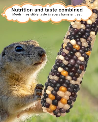 8PCS Hamster Chew Toys Corn Shape – Small Animal Molar Snacks for Hamsters, Syrian Hamsters, Rats, Gerbils – Teeth Grinding Treats for Cage Enrichment