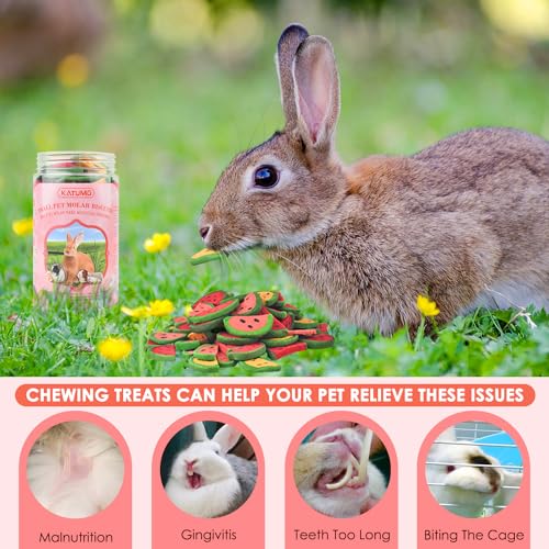 KATUMO Bunny Chew Toys, Rabbit Snacks Timothy Hay Treats for Guinea Pig | 200g / 7oz Rabbit Chew Toys for Teeth, Natural Timothy Hay Beet Pumpkin Carrot for Hamster, Chinchilla, Small Animals - size: 2.5"L x 2.5"W x 4.7"Th