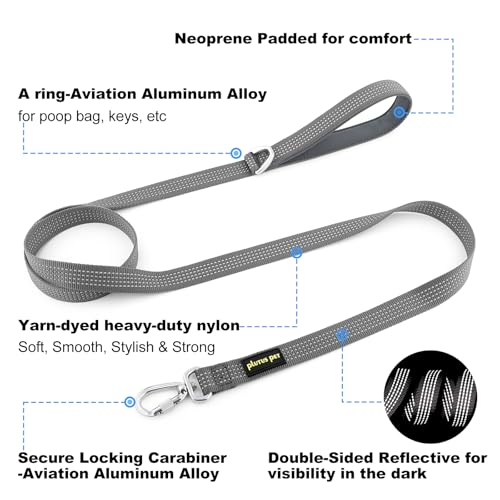 Plutus Pet Heavy Duty Dog Leash with Lockable Aluminum Carabiner, 4 FT Long | Double-Sided Reflective Nylon, Padded Handle, Heavy Duty, for Puppy Small Medium and Large Dogs (Gray, 1" x 4') - color: Gray, size: 1" x 4'