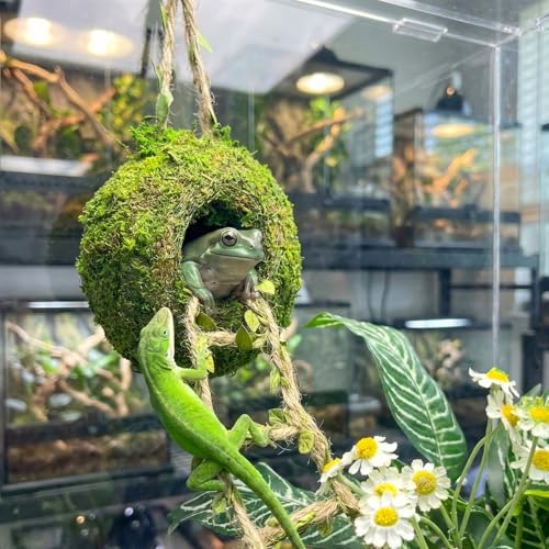 Moss Cave Hideout with Hanging Rope & Hemp Climbing Ladder – Natural Reptile Tank Decor Accessories for Crested Geckos, Chameleons, Tree Frogs, Leopard Geckos & Snakes. Terrarium & Vivarium Decor (4") - size: 4"