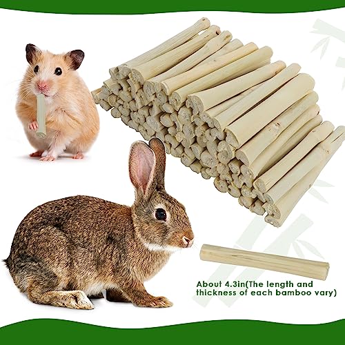 BWOGUE 1000g Bamboo Chews for Rabbits, Rabbit Chew Toys Sweet Bamboo Sticks | Pet Snacks, Rabbit Bamboo Chew Sticks, Bamboo Sticks for Rabbits, Bamboo for Rabbits, About 100 Sticks, 4.3 in, Sealed Bag - size: 2.2 Pound (Pack of 1)