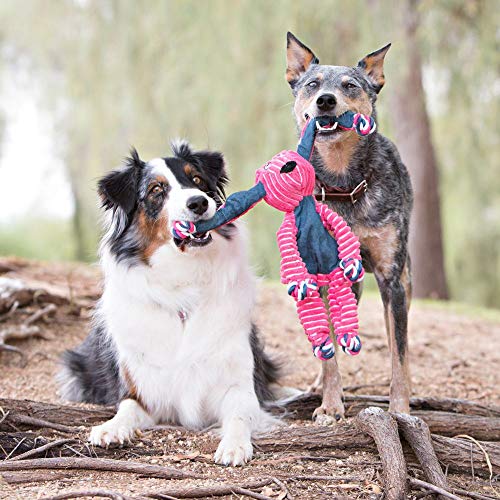 KONG Floppy Knots - Durable No‑Stuffing Squeaky Rope & Plush Dog Toy - for Teething, Playing (Bunny, Small/Medium) - color: Bunny, size: Small/Medium