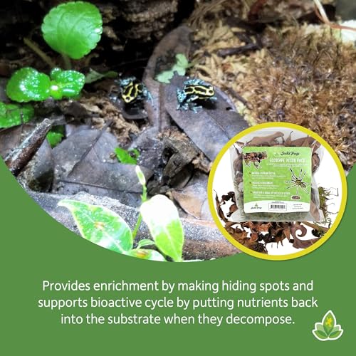 Josh's Frogs EcoScape Assorted Décor Pack (Small)