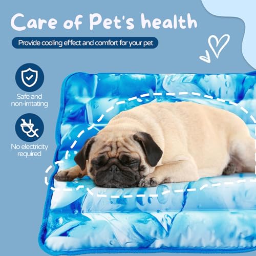 Dog Cooling Mat 2.0, Double-Sided Non-Slip Pet Cooling Pad, Washable and Durable, Indoor & Outdoor Summer Cooling Mat for All Pets, Keep Dogs and Cats Cool and Comfortable (29.5" x 29.5")