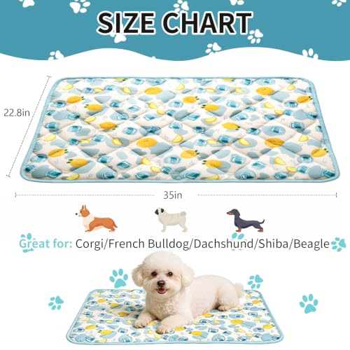 Pet Summer Cooling Blanket - 22.8" x 35.0" Double-Sided Mat Dog Puppy Self ice Cat Pad Bed Cover for Home Outdoor Sofa Sleeping Washable Portable Lightweight Small Medium Large (Blue Duck, S) - color: DD/Blue Ice