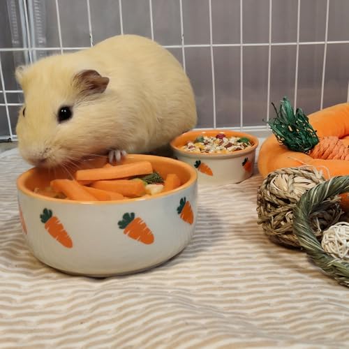 kathson 2 Pcs Hamtser Food Bowl, Guinea Pig Food Bowls, Ceramic Pet Bowl Small Animals Anti-Turning Water Bowls for Bunny Chinchilla Rat Hedgehog - size: XL
