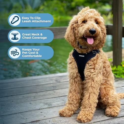 Voyager Step-in Flex Adjustable Dog Harness - Black, Small | 15 - 18" in Chest, Fully Adjustable, Reflective Bands, All Weather Breathable Air Mesh, Lightweight, Fast Drying - color: Harness (Black), size: S