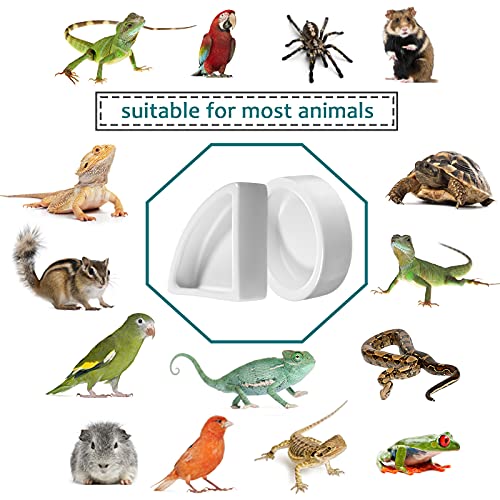 Boao 4 Pcs Reptile Food Water Bowl Set, 2 Round Reptile Food Dish 1 Corner Water Dish and 1 Feeding Tongs for Bearded Dragon Leopard Gecko Hermit Crab Chameleon Lizard Tortoise Spider Pet