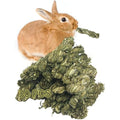 Hamiledyi 30 PCS Rabbit Chew Sticks Natural Grass Timothy Hay Sticks Handmade Guinea Pigs Chew Toys for Teeth Molar Snacks for Chinchilla Bunny Hamster and Other Small Animals - size: 0.48 Ounce (Pack of 30)