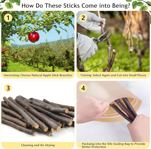 1000g Organic Apple Sticks Small Animals Molar Wood Treats Toys for Chinchillas Guinea Pig Rabbits Hamster Gerbil Parrot Bunny Chew Stick Toys, 35.3 OZ - size: 2.21 Pound (Pack of 1)