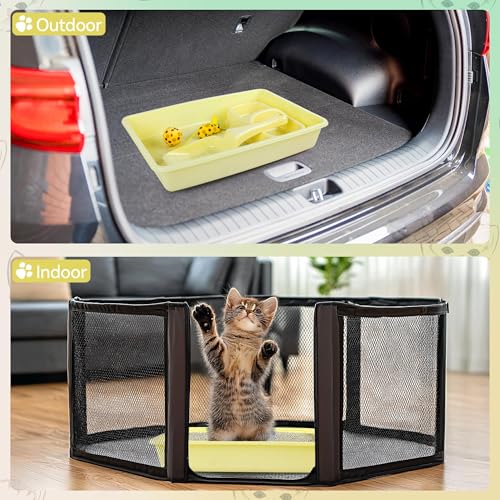 Pawise Newborn Kitty Litter Box Set, 5-Piece Cat Starter Kit – Includes Low-Entry Litter Pan, Scooper, Feeding Bowls & Mouse Toy, Ideal for New Kittens, 14.5 x 10.5 Inches, Yellow - color: yellow