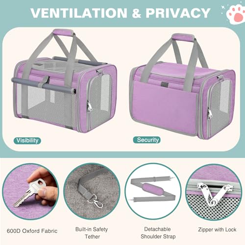 Cat Carrier Top Load, Privacy Curtains Soft Pet Travel Bag Airline Approved | Collapsible Soft-Sided Cat/Dog/Pet Carrier for Small Cats Dogs Puppy Under 16 lb, Washable Kitten Mesh Cage (16.9x10.8x10.8) - color: Purple