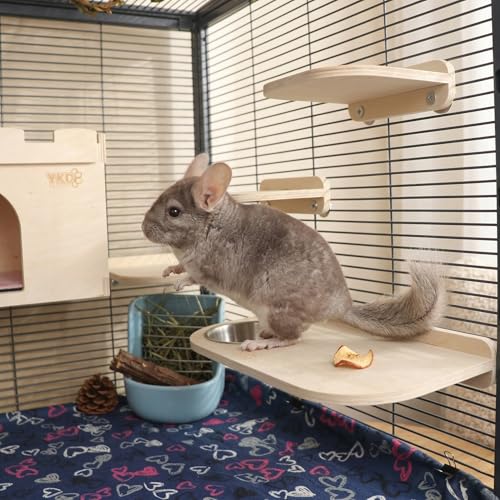 Chinchilla Wooden Platform Set Chinchilla Cage Ledges | Small Animals Cage Accessories for Squirrel Gerbil Suger Glider Hamsters (3Pcs of Small Platform)