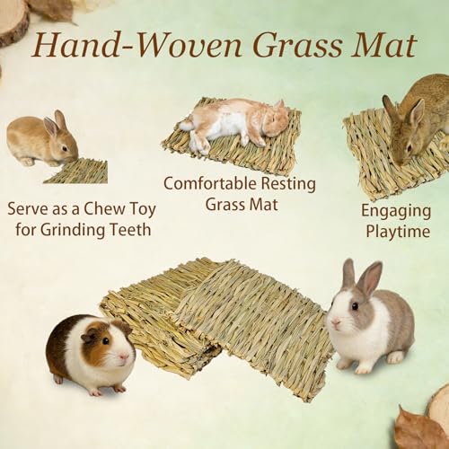 kathson 18 PCS Bunny Grass Mat,Rabbit Natural Straw Woven Bed,Small Animal Hay Nest Sleeping Mat &Chew Toys for Hamster Bunny Chinchilla Guinea Pig Mouse Bird and Other Small Animal - size: 18 pcs