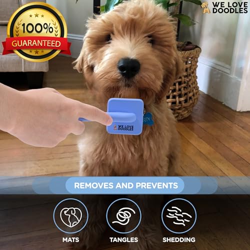 Slicker Brush for Dogs, Pet Grooming Brushes for Doodles & Poodles, Small | Best Brush For Long Haired Dogs, Dematting Comb & Deshedding Tools For Goldendoodle Coats, Puppy Matting Grooming Supplies - size: Extra Small Slicker Brush