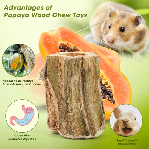 Abizoo Natural Bunny Chew Toys,6 Pcs Organic Papaya Wood Sticks Chew Toys for Rabbit,Hamster,Guinea Pig,Chinchilla,Gerbil,Rat Healthy Chews Teeth Grinding Treats, Squirrel Molar Snack - size: S