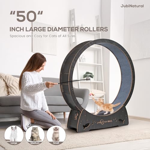 50" XL Cat Exercise Wheel, Low-Noise Indoor Treadmill, Black | 50" running diameter, 50 lb capacity, TPE low-noise rollers, under 6 mm gap, safety lock, removable carpet and stable base - color: BLACK, size: 50"