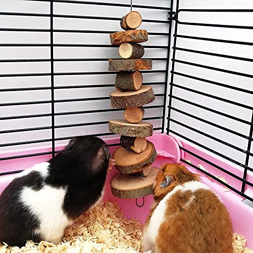 LWINGFLYER 6pcs Small Animal Chews Toy Natural Apple Wood Block Cage Hanging Molars Treats Snack for Hamsters Rabbits Bunny Bird Parrots Chinchilla Guinea Pig Gerbils Squirrels - color: 6pcs Natural Apple Wood