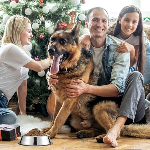 8 Pack Stainless Steel Dog Bowls Metal with Rubber Base Non-Slip Pets Puppy Cats Feeding Food and Water Bowls Dishwasher-Safe for Indoor Small Medium Large Dogs Cats Kitten Rabbit(10.1 oz) - size: 10.1 oz