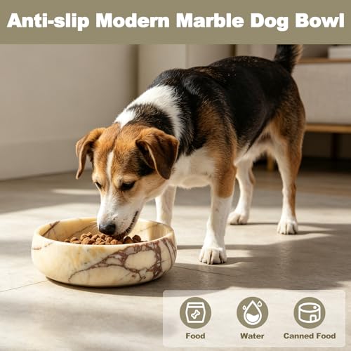 Karibiber Calacatta Marble Dog Bowl, 6lbs Weighted Dog Food Bowl, Non-Slip Large Heavy Water Bowls, Cute Purple Stone Food and Water Dish for Large Dogs, Natural Marble, Easy to Clean, Holds 6 Cups - color: Calacatta Purple, size: L