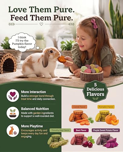 C-LIGHT Guinea Pig Chew Toys, Rotating Spinner + 8 Pcs Timothy, 5 viggies | Hay for Teeth Grind & Digestion, Rust-Proof Aluminum Toy, for Rabbit, Bunny, Chinchilla, Hamster Dental Health (Sliver)