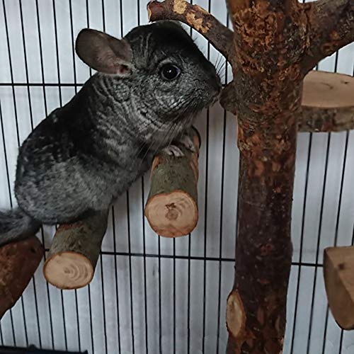 QBLEEV 3 PCS Hamster Chew Toys for Teeth, Chinchilla Cage Accessories Supplies, Guinea Pigs Natural Wood Chews Sticks for Rat Squirrels, Rabbits Perch Toys Birds Standing Platform for Parrot Bunny | Guinea pigs natural wood chews sticks for rat squirrels,