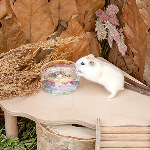 Niteangel Hamster Feeding & Water Bowl- 50ml Capacity & No Wet Fur for Pet | Chew Proof - Mount Fuji Series Glass Drinking Bowls for Dwarf Syrian Hamsters Gerbils Mice Rats or Other Similar-Sized Pets