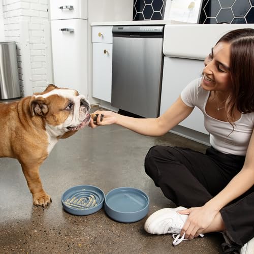 Slow Feeder Dog Bowls - Medium Size Silicone Slow Eating Dog Bowl for Puppies & Dogs with Suction Cup -Dishwasher-Safe, Lick Mat Design, Reduces Gulping,for All Breeds,7.5”x1.5”- Tan - color: Tan - Rainbow Design, size: Medium (7.5” Across x 1.5” Tall)
