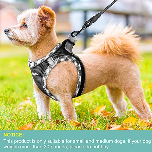 haapaw Dog Harness with Leash Set, No Pull Adjustable Reflective Step-in Puppy Harness with Thickened Padded Vest for Extra-Small/Small Medium Dogs - color: Black, size: S