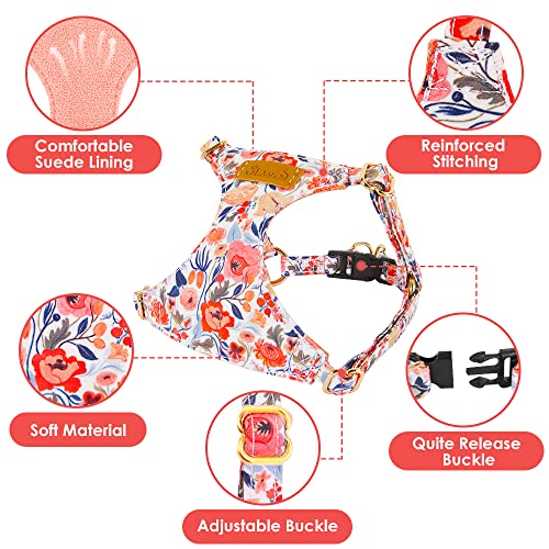 Lukovee Puppy Harness and Leash Set, No Pull, Lightweight Step in Vest | Adjustable, Soft Suede Vest, Easy Put on and off Pet Harness with Snap Buckle & 51in Leash for Small Medium Dogs (Flower,XXS) - color: Flower, size: XX-Small ( 2.2-6lb )