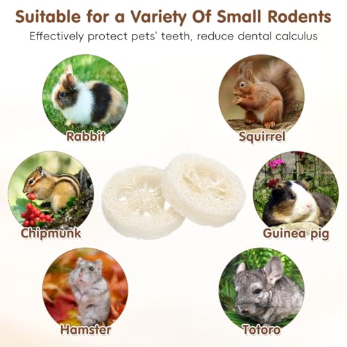 Veemoon 20pcs Hamster Bunny Pet Chewing Toy, Natural Loofah Small Animal Chew Tool Pet Molar Toy for Guinea Pig Chinchilla Hamster Rat Tooth Cleaning and Oral Care Stress Relief Entertainment