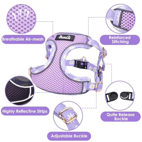 Lukovee Puppy Harness and Leash Set, No Pull Step in Lightweight Mesh Vest | Soft, Reflective, Easy Put on and off, Adjustable, Breathable Air Mesh, with 51in Leash for Walking Hiking (Purple, XXS) - color: Purple, size: XX-Small (2.2-6 lb)